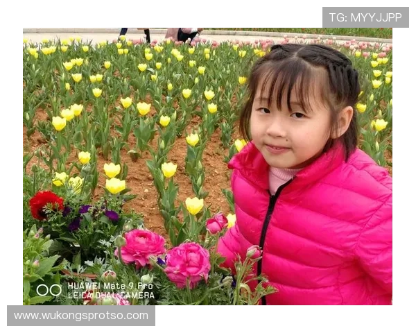 从潜力新星到稳定射手：伊萨克的成长轨迹