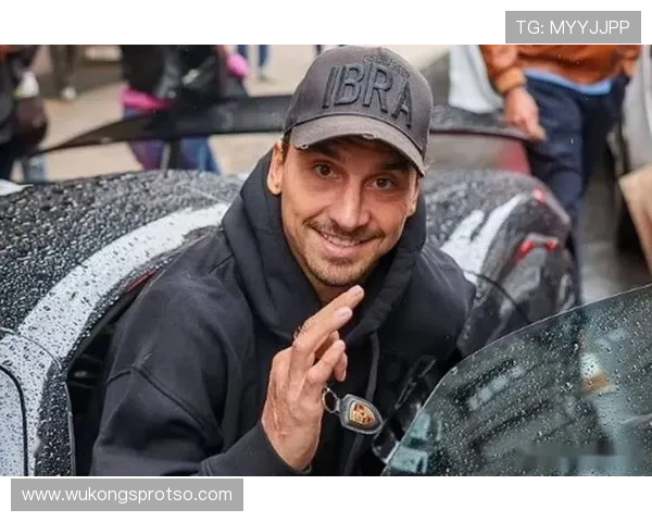 伊布家里那豪车比你小区车棚都多，真是活生生的行走富豪呀！