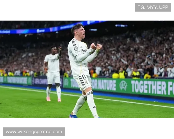 巴尔韦德欧冠冠军核心身份及荣誉含金量解析